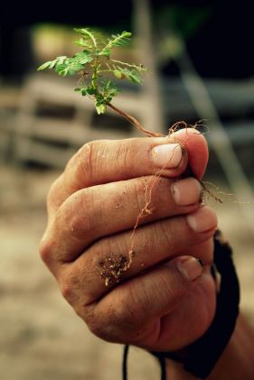 56417_10151083493396946_672035069_o